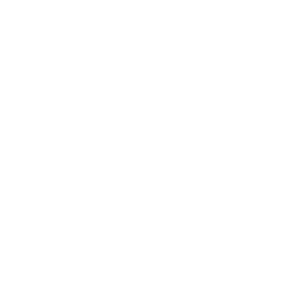 Economic Architecture