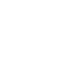 Premium Pricing