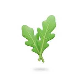 Arugula