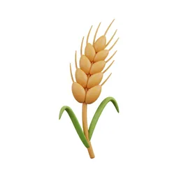 Barley
