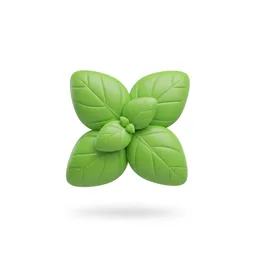 Basil