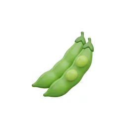 Bean