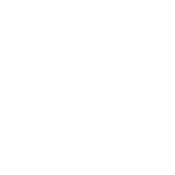 Booster Item Test