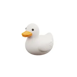 Duck Eggs