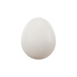 Ostrich Eggs