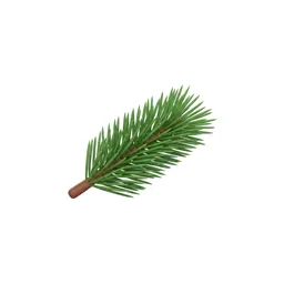 Pine