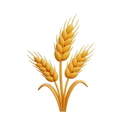 Rye