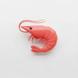 Shrimp