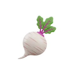 Sugar Beet